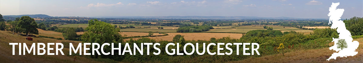 TIMBER MERCHANTS GLOUCESTER TIMBER MERCHANTS GLOUCESTER
